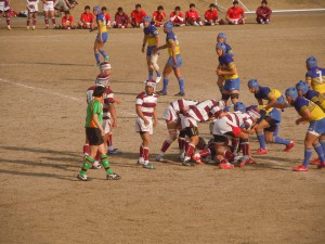 DSCN6299